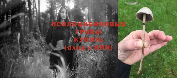 меф Коряжма