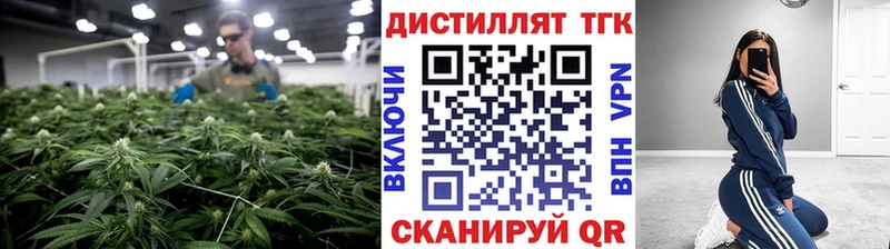 Купить закладки  Иваново  Дистиллят ТГК гашишное масло 